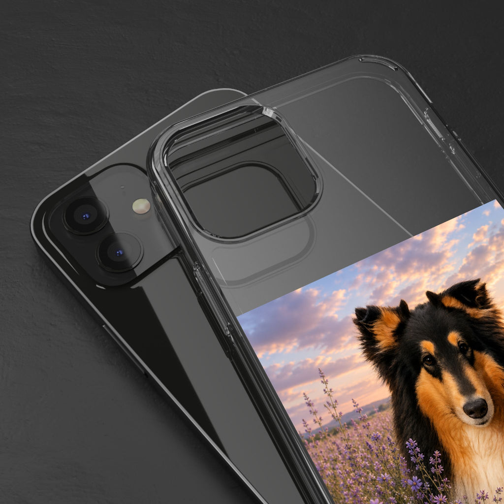 Clear Cases